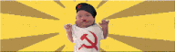 z.gif