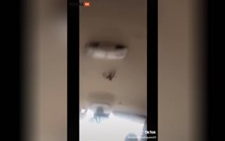 vidmax.com