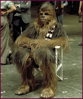 chewbacca.bmp
