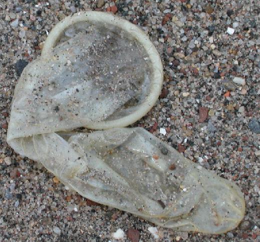 condom-used.jpg