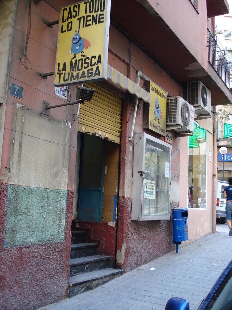 DSC00214.jpg