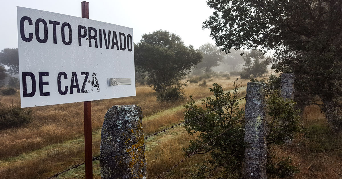 revistajaraysedal.es