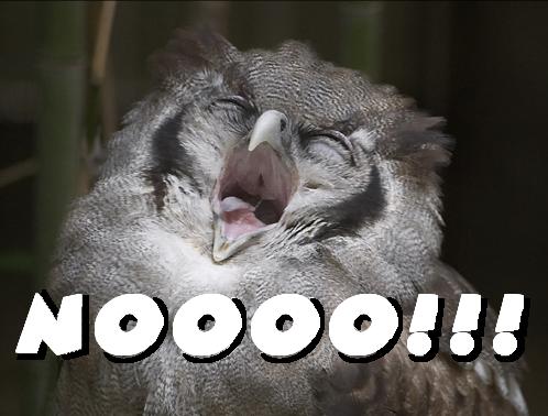 noooo.jpg